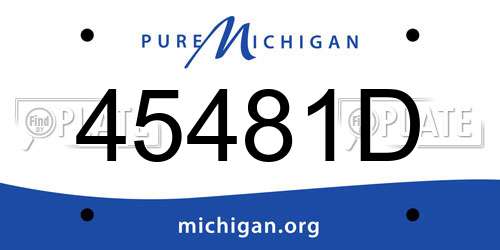 45481D Michigan License Plate