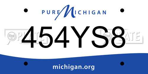 454YS8 Michigan License Plate