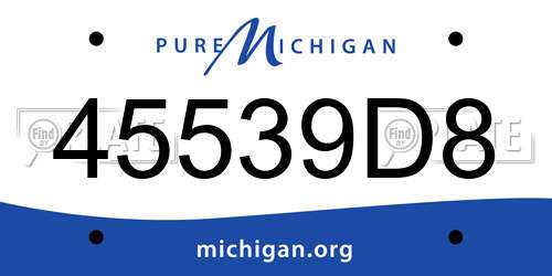45539D8 Michigan License Plate