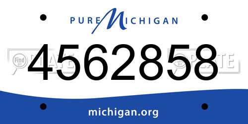 4562858 Michigan License Plate