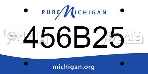 456B25 Michigan License Plate