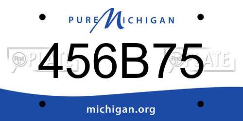 456B75 Michigan License Plate