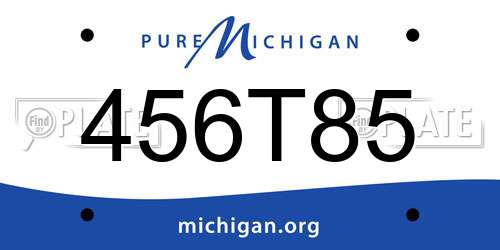456T85 Michigan License Plate
