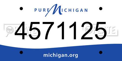 4571125 Michigan License Plate