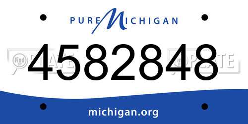 4582848 Michigan License Plate