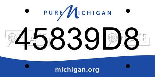 45839D8 Michigan License Plate