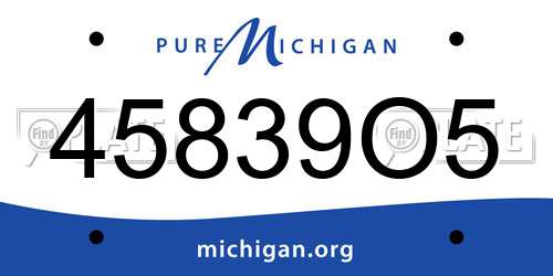 45839O5 Michigan License Plate