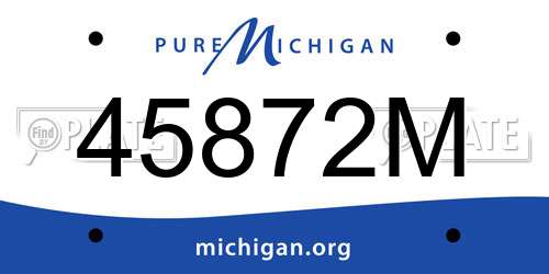 45872M Michigan License Plate