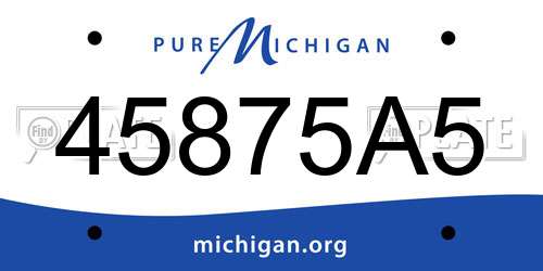 45875A5 Michigan License Plate