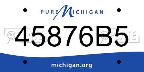 45876B5 Michigan License Plate