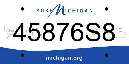 45876S8 Michigan License Plate