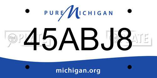 45ABJ8 Michigan License Plate