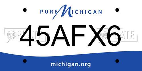 45AFX6 Michigan License Plate