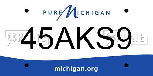 45AKS9 Michigan License Plate