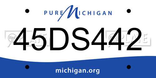 45DS442 Michigan License Plate