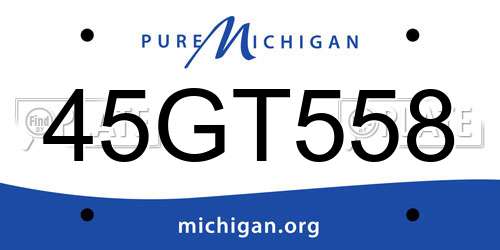 45GT558 Michigan License Plate