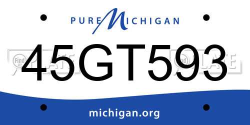 45GT593 Michigan License Plate