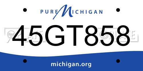 45GT858 Michigan License Plate