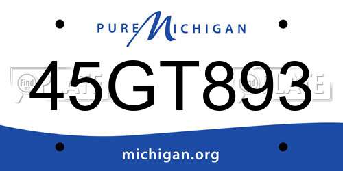 45GT893 Michigan License Plate