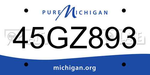 45GZ893 Michigan License Plate