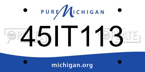 45IT113 Michigan License Plate