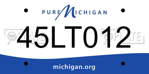 45LT012 Michigan License Plate