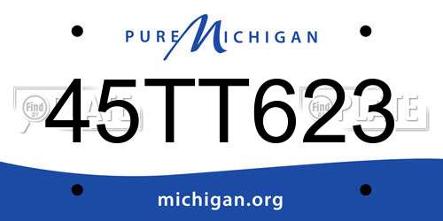 45TT623 Michigan License Plate