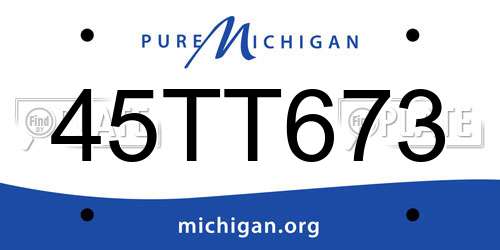 45TT673 Michigan License Plate
