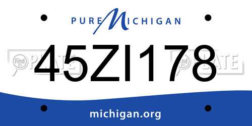 45ZI178 Michigan License Plate