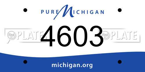 4603 Michigan License Plate