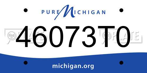 46073T0 Michigan License Plate