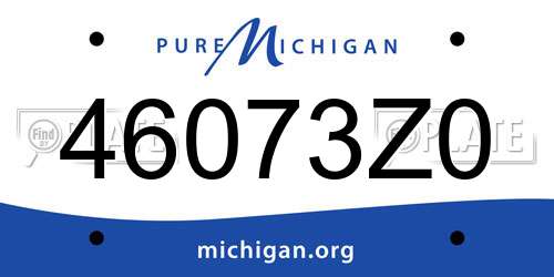 46073Z0 Michigan License Plate