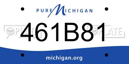 461B81 Michigan License Plate