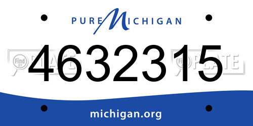4632315 Michigan License Plate