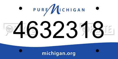 4632318 Michigan License Plate