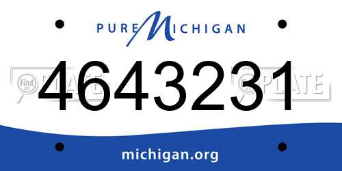 4643231 Michigan License Plate