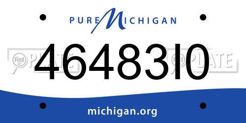 46483I0 Michigan License Plate