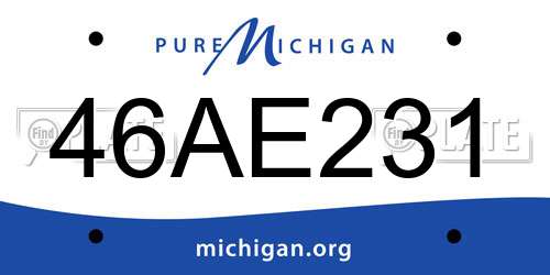 46AE231 Michigan License Plate