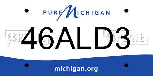 46ALD3 Michigan License Plate