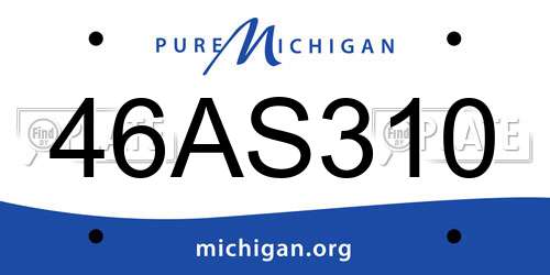 46AS310 Michigan License Plate