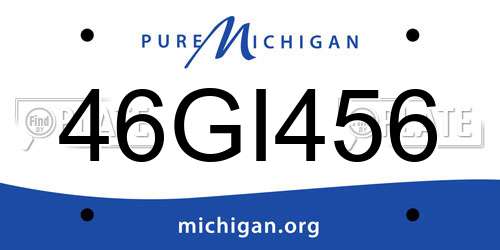 46GI456 Michigan License Plate