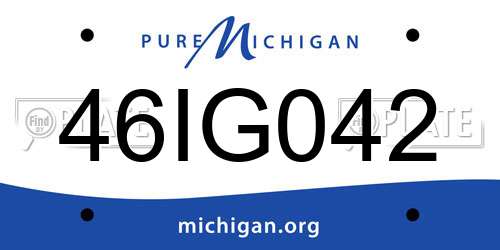 46IG042 Michigan License Plate