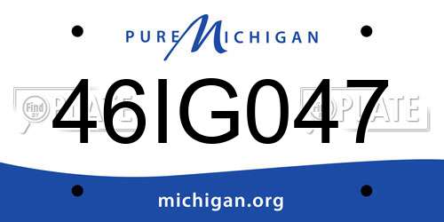 46IG047 Michigan License Plate