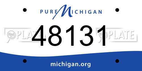 48131 Michigan License Plate
