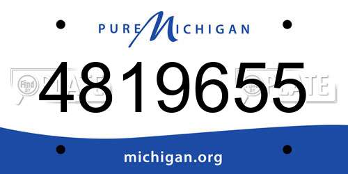 4819655 Michigan License Plate