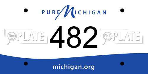 482 Michigan License Plate