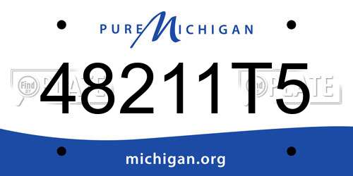 48211T5 Michigan License Plate