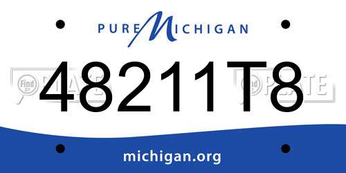 48211T8 Michigan License Plate