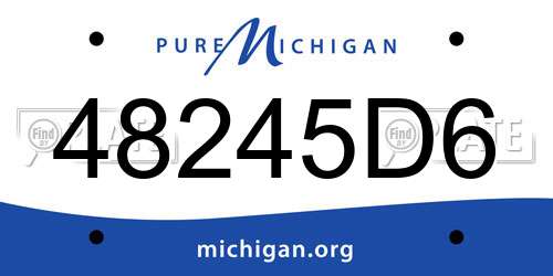 48245D6 Michigan License Plate