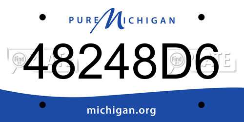 48248D6 Michigan License Plate